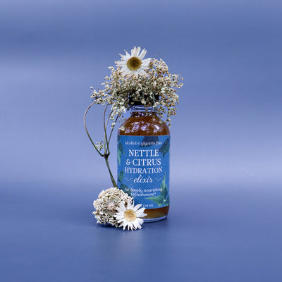 Nettle & Citrus Hydration Elixir