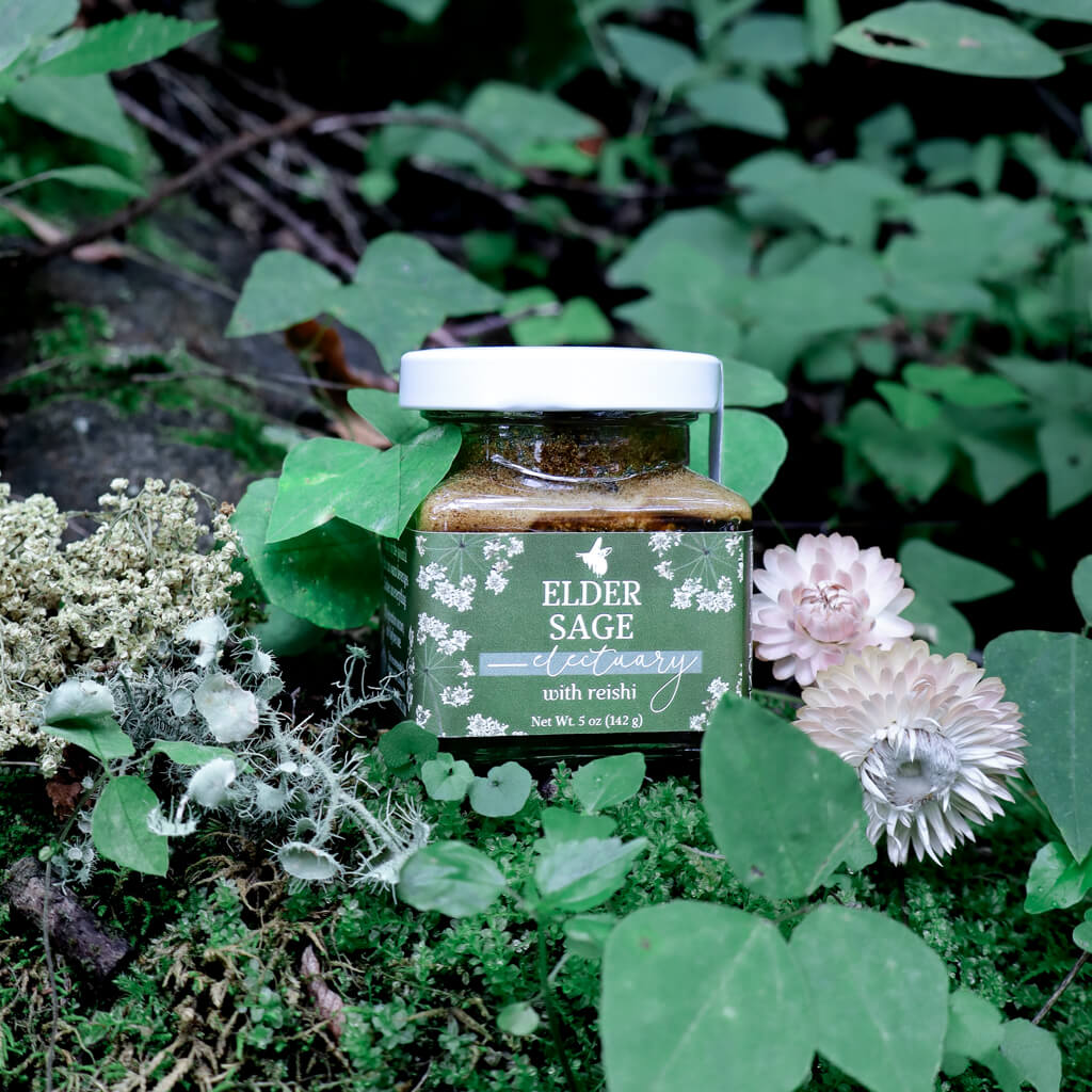 jar of Elder Sage Herbal Honey Electuary with reishi sitting on a mossy rock with flowers and greenery in the background