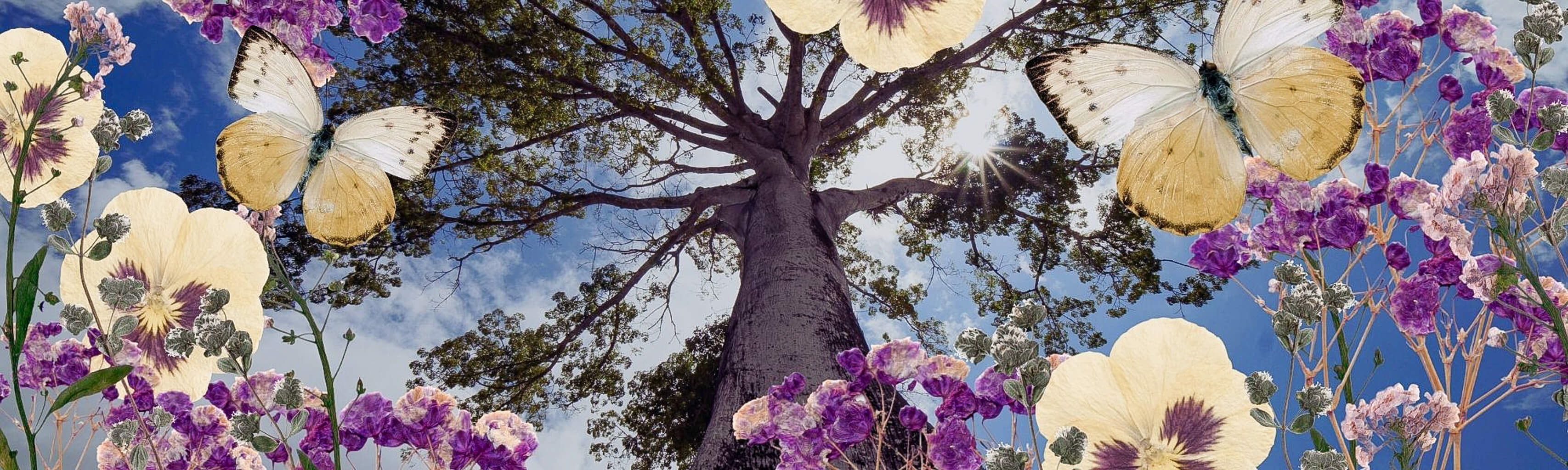 Butterflies and flowers with a tree in the center, creating a surreal landscape.