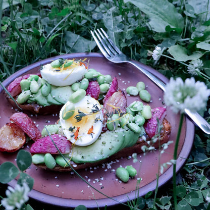 a plate of sweet potato toast with miso honey sauce, avocado, roasted radishes, edamame, and soft boiled eggs